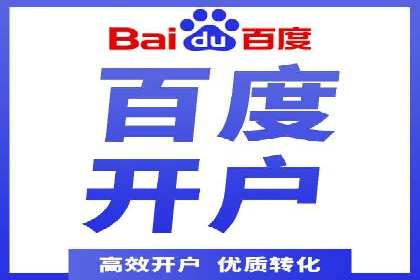 百度竞价排名机制：成功案例与策略探讨